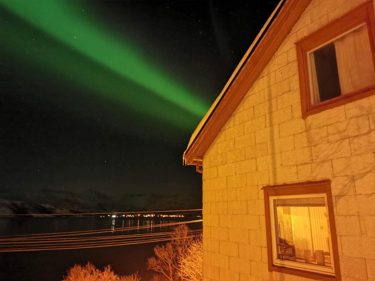 Villa Senja Skaland Melkarhola Esterno foto