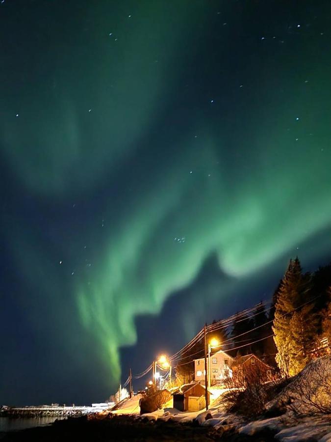Villa Senja Skaland Melkarhola Esterno foto